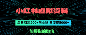 (12164期)小红书虚拟资料日引流200+创业粉,单日变现5000+-大象聊项目