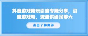 抖音游戏陪玩引流专题分享，引流游戏粉，流量供给足够大-大象聊项目