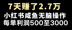 七天赚了2.7万！每单利润最少500+，轻松月入5万+小白有手就行-大象聊项目