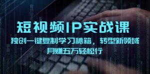 短视频IP实战课，独创一键复制学习秘籍，转战新领域，月赚五万轻松行-大象聊项目