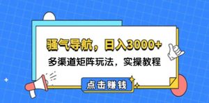 （12255期）日入3000+ 骚气导航，多渠道矩阵玩法，实操教程-大象聊项目