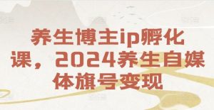 养生博主ip孵化课,2024养生自媒体旗号变现-大象聊项目