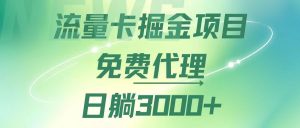 （12321期）流量卡掘金代理，日躺赚3000+，变现暴力，多种推广途径-大象聊项目