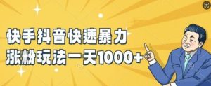 快手抖音快速暴力涨粉玩法，新手小白也能学会，一天1k+【揭秘】-大象聊项目