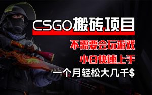 （12332期）CSGO 装备搬砖项目，操作简单，不需要会玩游戏，小白也能快速上手，一…-大象聊项目