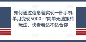 如何通过信息差实现一部手机单月变现5000+?简单无脑搬砖玩法，快看看适不适合你【揭秘】-大象聊项目