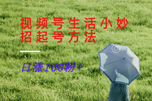 视频号生活小妙招分享赛道, 起号涨粉新方法,日涨100粉-大象聊项目