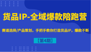 货品IP-全域爆款陪跑营【第4期】赛道选择/产品策划，手把手教你打造货品IP，爆款不断-大象聊项目