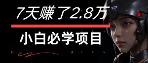 7天赚了2.8万！每单利润最少500+，轻松月入7万+小白有手就行-大象聊项目