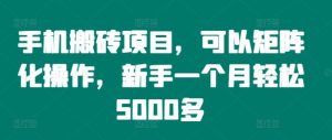 手机搬砖项目，可以矩阵化操作，新手一个月轻松5000多-大象聊项目