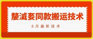 抖音96万粉丝账号【嫠㵄㚣】同款搬运技术-大象聊项目