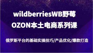 wildberriesWB野莓/OZON本土电商系列课，俄罗斯平台的基础实操技巧/产品优化/爆款打造-大象聊项目