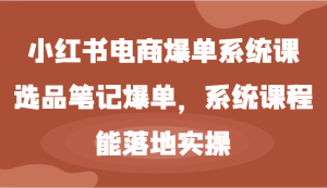 小红书电商爆单系统课-选品笔记爆单，系统课程，能落地实操-大象聊项目