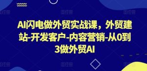 AI闪电做外贸实战课，​外贸建站-开发客户-内容营销-从0到3做外贸AI(更新)-大象聊项目