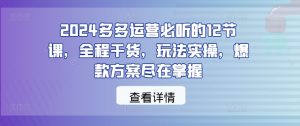 2024多多运营必听的12节课，全程干货，玩法实操，爆款方案尽在掌握-大象聊项目