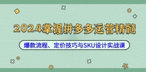 2024掌握拼多多运营精髓：爆款流程、定价技巧与SKU设计实战课-大象聊项目