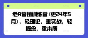 老A营销训练营(更24年9月)，轻理论，重实战，轻概念，重本质-大象聊项目