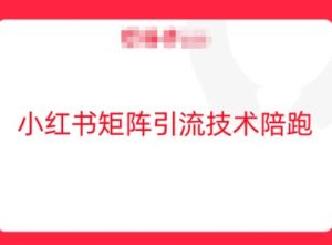 小红书矩阵引流技术，教大家玩转小红书流量-大象聊项目