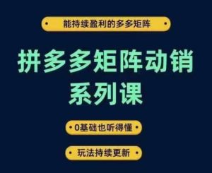 拼多多矩阵动销系列课，能持续盈利的多多矩阵，0基础也听得懂，玩法持续更新-大象聊项目