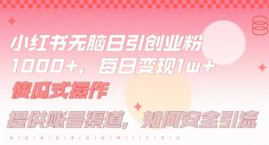 小红书无脑每日引流创业粉500+，小白每天只花半小时，躺赚长尾收益【揭秘】-大象聊项目