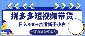 拼多多短视频带货日入300+有长期稳定被动收益，合适新手小白【揭秘】-大象聊项目