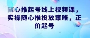 随心推起号线上视频课，实操随心推投放策略，正价起号-大象聊项目