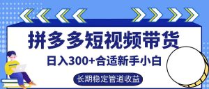 拼多多短视频带货日入300+,实操账户展示看就能学会-大象聊项目