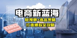 商家必看电商新蓝海：短视频+选品策略，打造爆款全攻略，月入10w+-大象聊项目