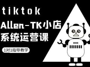 TK小店系统运营课-tiktok跨境电商教程-大象聊项目