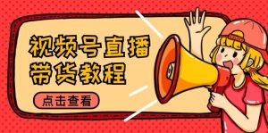 视频号直播带货教程：选品思路与话术拆解/掌握多种带货套路/提升直播效果-大象聊项目