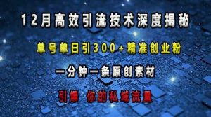 最新高效引流技术深度揭秘 ，单号单日引300+精准创业粉，一分钟一条原创素材，引爆你的私域流量-大象聊项目