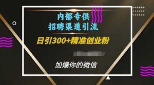 内部招聘渠道日引流300+创业粉，加爆你的微信【揭秘】-大象聊项目