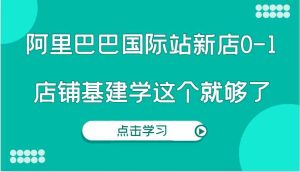 阿里巴巴国际站新店0-1，个人实践实操录制从0-1基建，店铺基建学这个就够了-大象聊项目