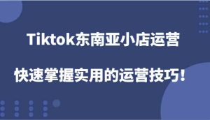 Tiktok东南亚小店运营，快速掌握实用的运营技巧！-大象聊项目