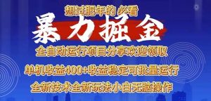 （13675期）2025暴力掘金项目，想过肥年必看！-大象聊项目