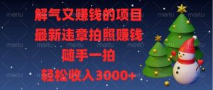 （13686期）解气又赚钱的项目，最新违章拍照赚钱，随手一拍，轻松收入3000+-大象聊项目