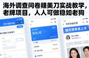 海外调查问卷賺美刀实战教学，老牌项目，人人可做稳如老狗-大象聊项目