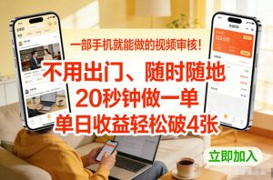 一部手机就能做的视频审核！不用出门，随时随地，20秒钟做一单，单日收益轻松破4张【揭秘】-大象聊项目