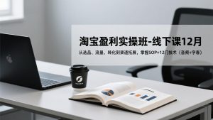淘宝盈利实操班-线下课12月，从选品、流量、转化到渠道拓展，掌握SOP+12门技术(音频+字幕-大象聊项目