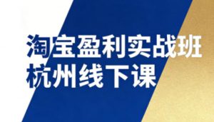 淘宝盈利实战班杭州线下课12月26-28日(音频+字幕)，帮你掌握SOP流程+12门核心技术-大象聊项目