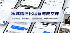 私域精细化运营与成交课:社群管理、私聊转化、朋友圈运营,解锁高成交密码-大象聊项目