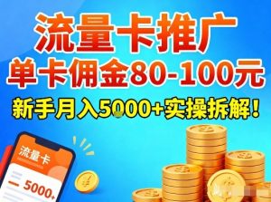 流量卡推广,单卡佣金80-100,新手月入5k+实操拆解!-大象聊项目