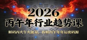公众号付费文章：2026丙午年行业趋势课：解码丙火午火能量，拆解丙午年年运密码源-大象聊项目