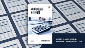 跨境电商财务课，核算逻辑、平台规则、账务处理，掌握全盘账务，胜任高薪岗位月入1.5万+-大象聊项目
