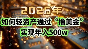 2026年如何轻资产通过“撸美金”实现年入500w-大象聊项目