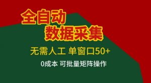 全自动数据采集,无需人工,单窗口50+,0成本可批量矩阵操作【揭秘】-大象聊项目