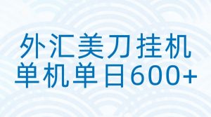 外汇美刀挂机:全自动挂机赚美金,单机600+-大象聊项目