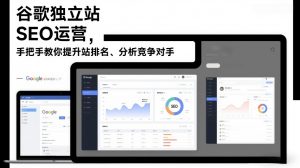谷歌独立站SEO运营，手把手教你提升网站排名、分析竞争对手(更新2026)-大象聊项目