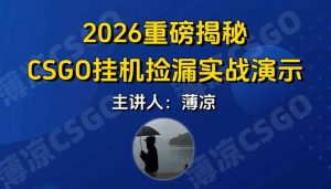 CSGO游戏挂机游戏搬砖最新升级，普通小白一部手机可日入300+当天见结果，支持验证-大象聊项目