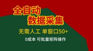 全自动数据采集项目，无需人工，单窗口可达50+收益，操作简单无难度，一个人也能轻松实现矩阵【揭秘】-大象聊项目